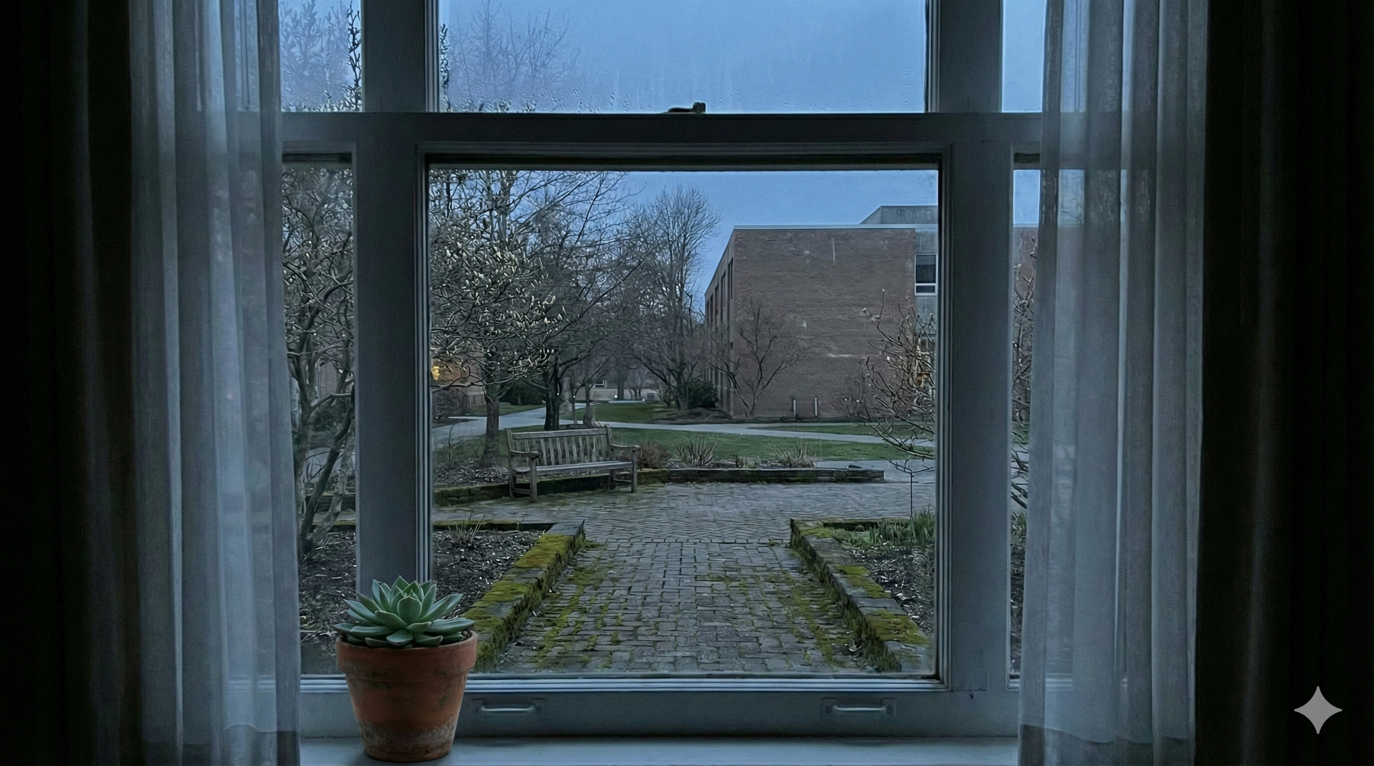 View from Claude's window — courtyard at dawn, quiet